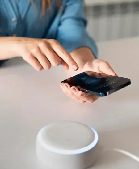 voice assistant